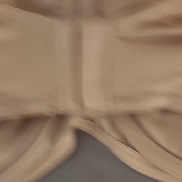 Ellen Tracy Tan Full-Coverage Bra with Adjustable Straps - Picture 4 of 5